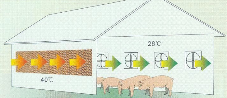 养殖畜牧行业透风降温